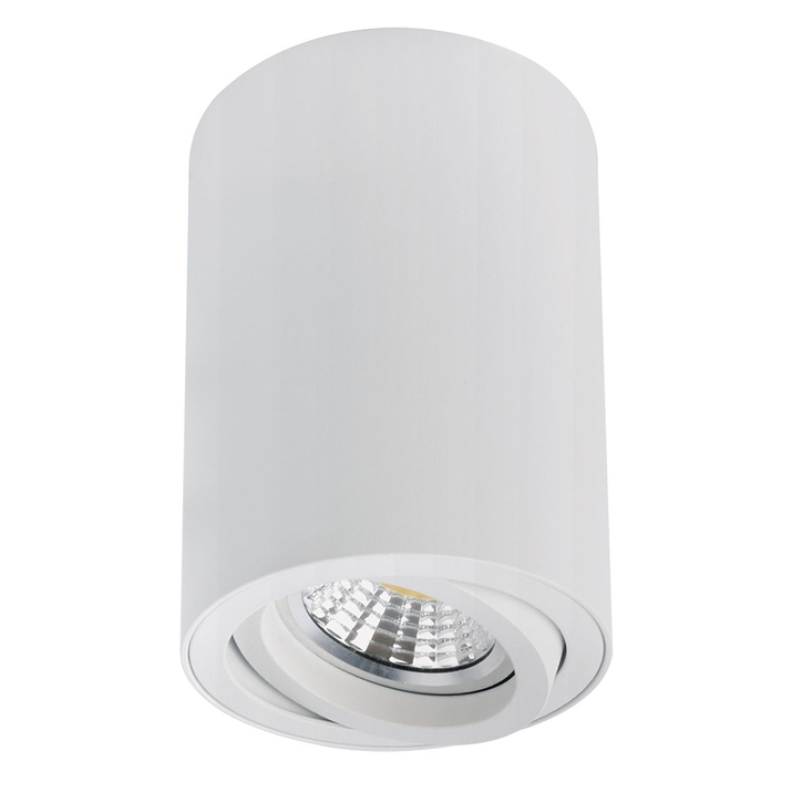 Точечный накладной светильник ARTE LAMP SENTRY A1566PL-1WH