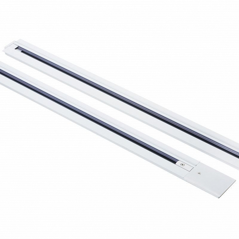 Трек двухконтактный однофазный встраиваемый Lightstar Barra 501035